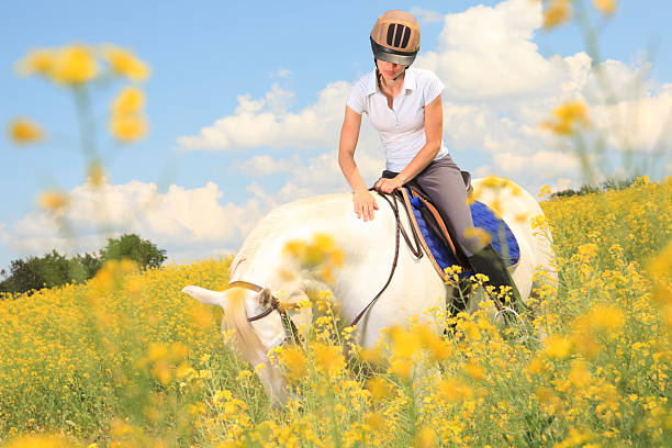 istock White Horse Yellow Flower - Caress 184347219