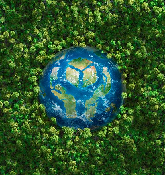 istock Earth In Healthy Forest 184347224