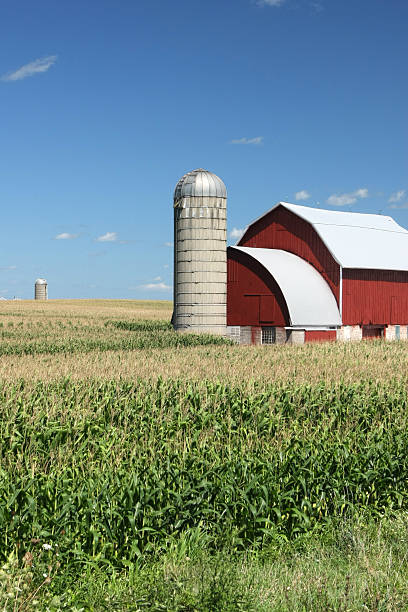 istock Rural America Farm and Barn 184347253