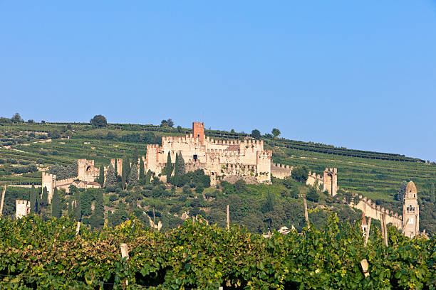 soave castelo através de vinhedos - soave - fotografias e filmes do acervo