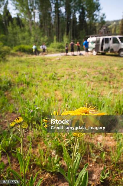 Dziki Kwiat Rekreacja - zdjęcia stockowe i więcej obrazów Durango - Stan Kolorado - Durango - Stan Kolorado, Dziki kwiat, Fan