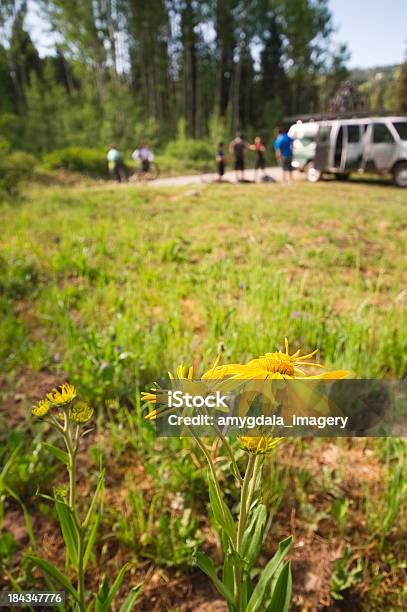 Granadilha De - Fotografias de stock e mais imagens de Amarelo - Amarelo, Atividade Recreativa, Aventura