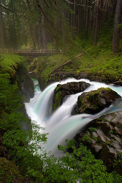 Sol Duc Falls, Olympic National Park.