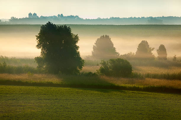 Misty Morning in America's Heartland