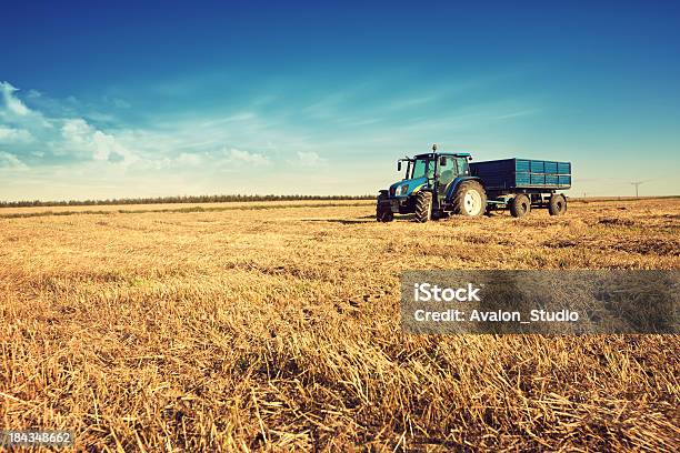 Tractor In The Stubble Field Stock Photo - Download Image Now - Tractor, Agricultural Field, Agriculture