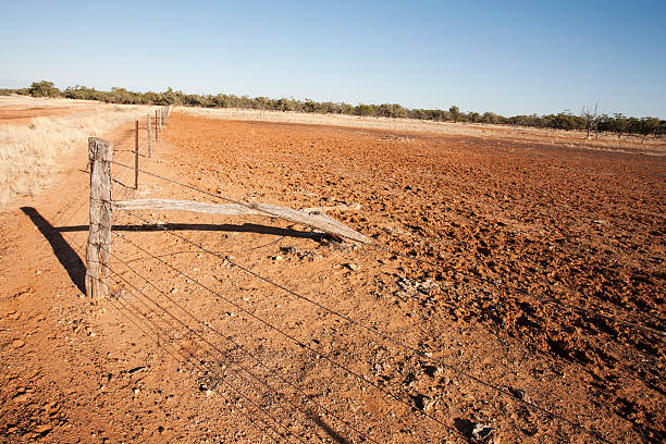 Outback Fence Line stock photo