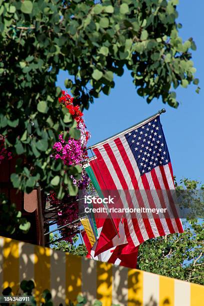 Flaga Zjednoczonych Staes Otoczony Przez Kwiaty Drzewa I Blue Sky - zdjęcia stockowe i więcej obrazów 4-go lipca