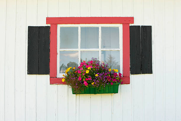 istock Rustic old window with pot of flowers 184350156
