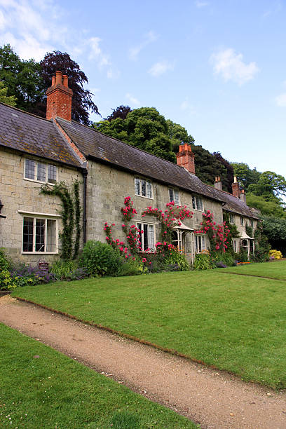 istock Line of Homes 184350227