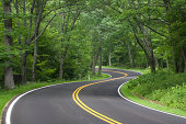 istock Skyline Drive, Shenandoah National Forest, Virginia 184350920