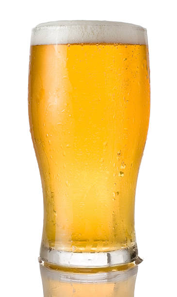 Pint of beer on a white background Ice cold pint of beer in a tulip style pint glass. Isolated on white. lager stock pictures, royalty-free photos & images