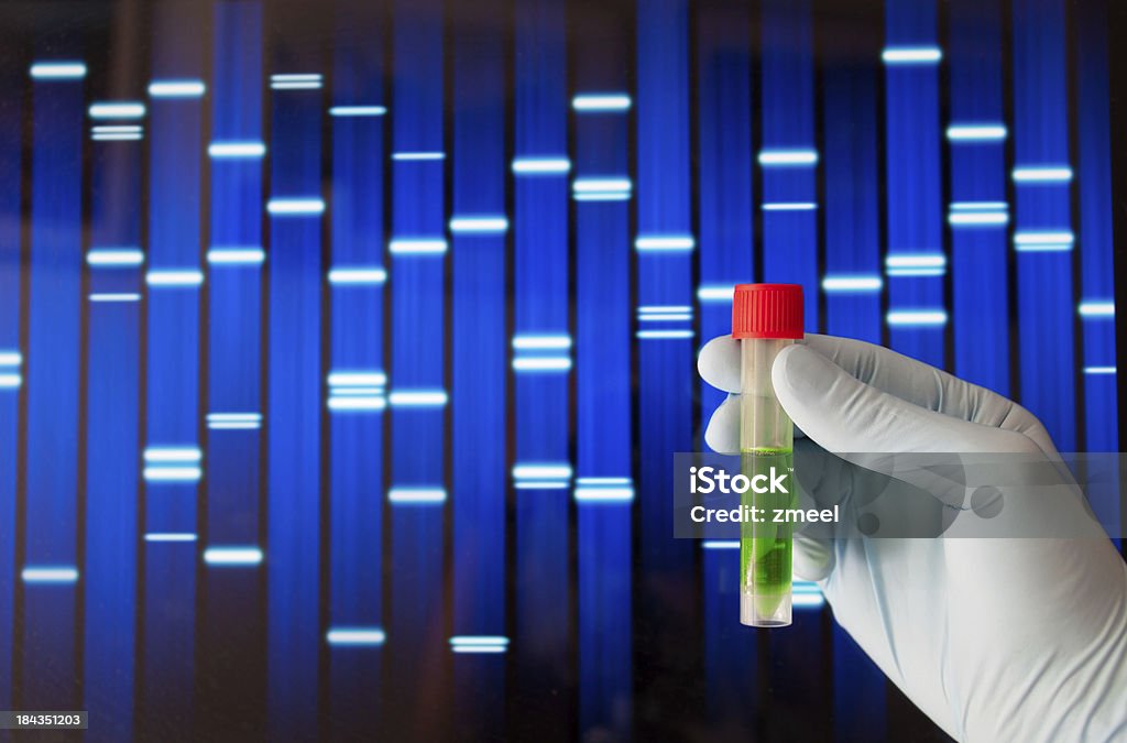 Genetic modification A hand with a blue medical glove is holding a sample tube with a green fluorescent fluid in front of a computer screen with a DNA banding pattern. Concept for genetic modification. Cloning Stock Photo