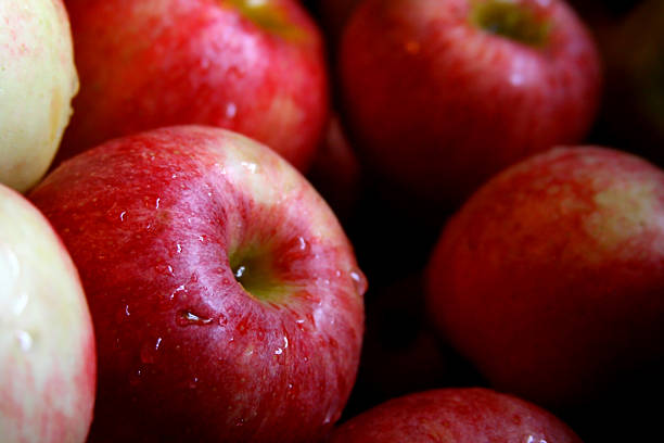 istock Moist Michigan Fresh Gala Apples 184351334