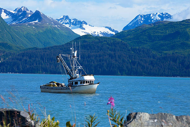 Salmon seining fishing boat anchored in Valdez, Alaska bay "Fishing boat used for seining Salmon fish anchored in Valdez, Alaska bay." anchored photos stock pictures, royalty-free photos & images