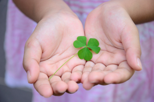 Three clover in the hand