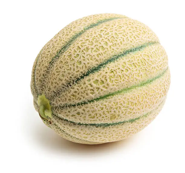 Cantaloupe on white background