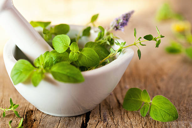 ハーブ - parsley herb leaf herbal medicine ストックフォトと画像