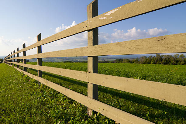 Blue Sky Fence stock photo