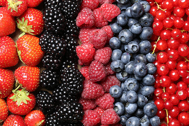 istock Berry fruits in a row 184353132