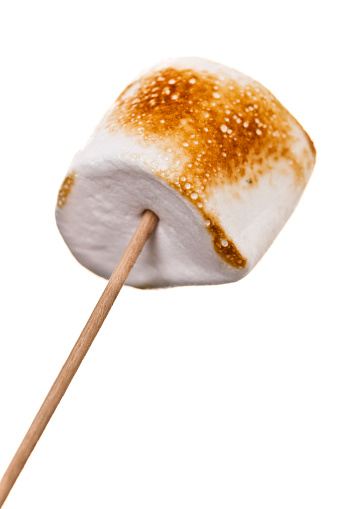 Roasted marshmallow on a stick