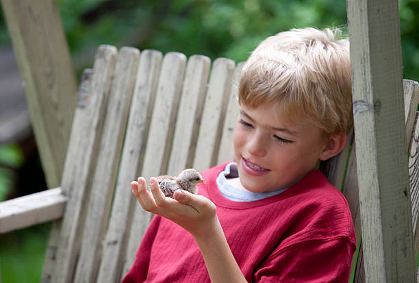 istock young blonde boy holds small baby chick 184353281