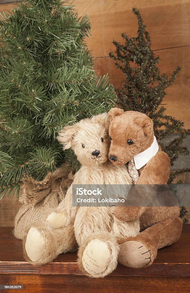 Affectueux serrer les ours en peluche - Photo de Arbre libre de droits