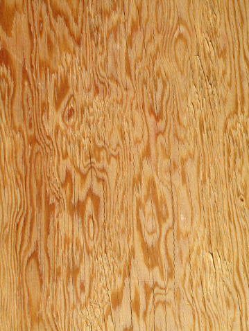 Plywood Background showing Grain and Texture.