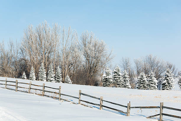 istock Winter Snow Scene with Split Rail Fence and Pine Trees 184353621