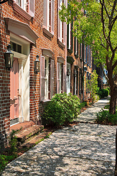 istock Tabby Sidewalk - Savannah, Georgia 184353691