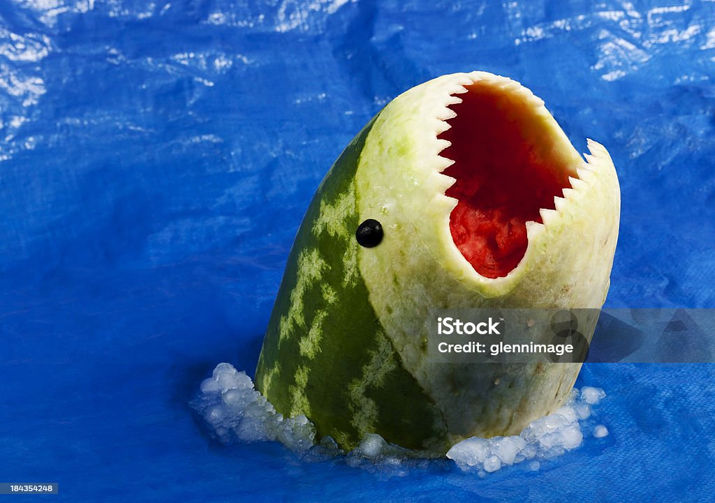 Sharkmelon - Lizenzfrei Blau Stock-Foto