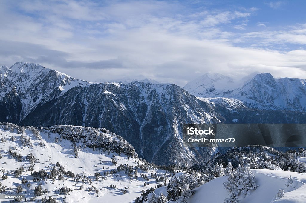 Paesaggio invernale con la neve e gli alberi - Foto stock royalty-free di Albero