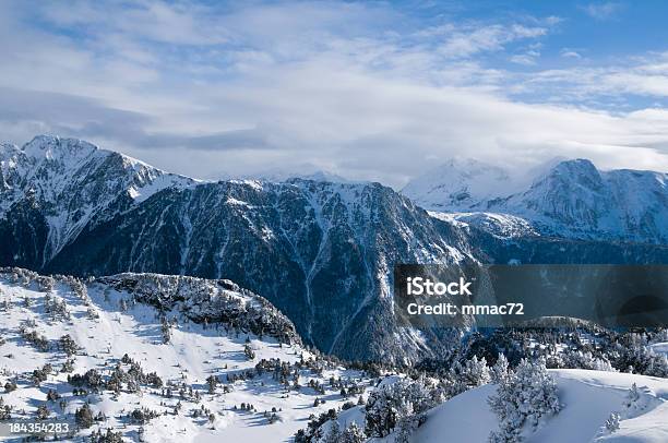 Paesaggio Invernale Con La Neve E Gli Alberi - Fotografie stock e altre immagini di Albero - Albero, Albero sempreverde, Alpi