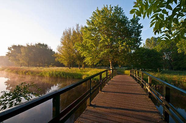 Wooden bridge in a botanical autumn park in the sunset light