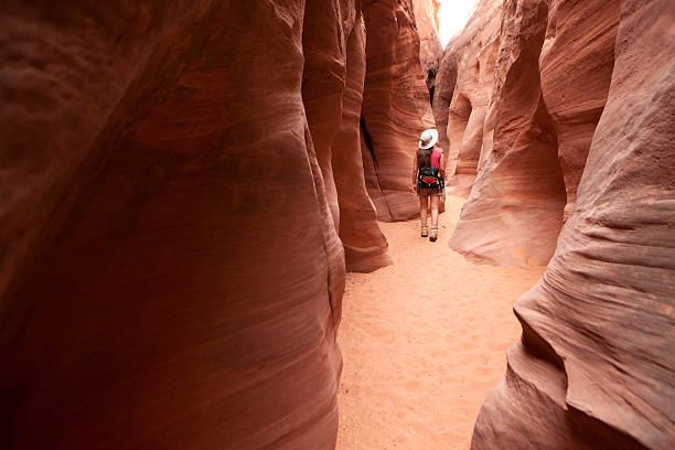 Exploring woman hiking slot canyon Escalante Utah "A woman hikes along the wind and water eroded slot canyon and cliffs of Coyote Gulch in the Escalante National Monument, Utah." grand staircase escalante national monument stock pictures, royalty-free photos & images