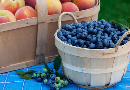 Aa rustic basket of plump ripe blueberries and a wooden six quart basket of peaches on a bright blue tablecloth outdoors.Related Images