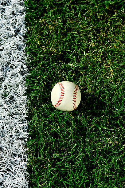 nuovo baseball in fallo linea - baseball field grass baseballs foto e immagini stock