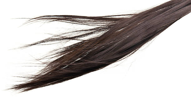 Cтоковое фото Плавучий волосы
