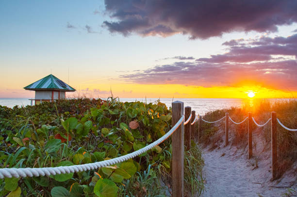 Sunrise at the beach in Delray Beach, Florida A path is leading down the beach during a colorful sunrise in Delray Beach, Florida, USA delray beach fl stock pictures, royalty-free photos & images