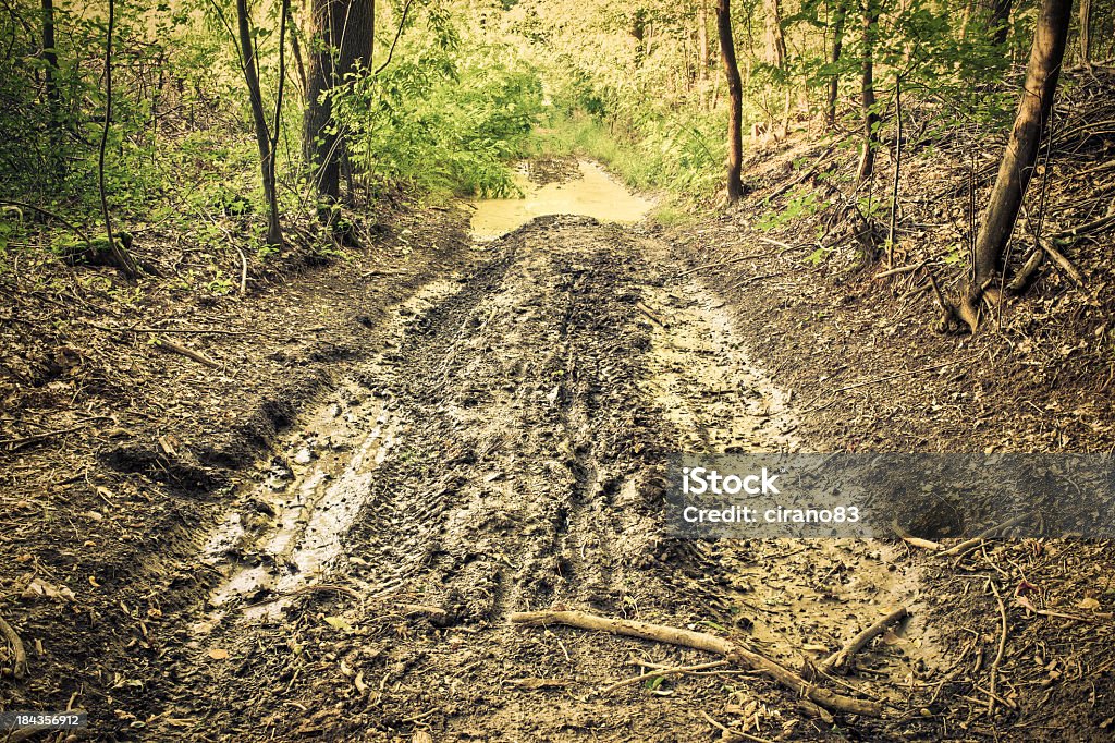 Wet Mud Path With Tire Track Into The Forest Wet mud path with tire track into the forest. View my lightbox: Flooring Stock Photo