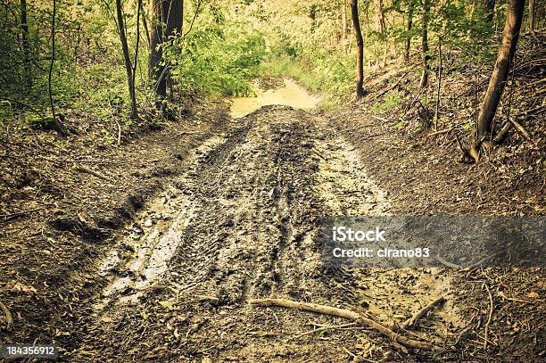 Wet Mud Path With Tire Track Into The Forest Stock Photo - Download Image Now - Flooring, Dirt Road, Mud