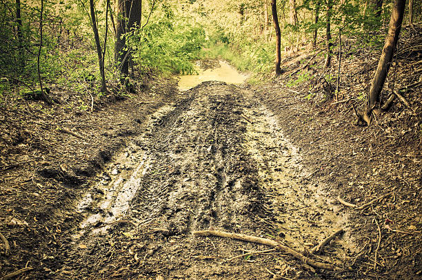 molhado lama caminho com pneu faixa na floresta - mud road tire track footpath imagens e fotografias de stock
