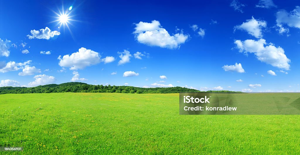 Wysokiej rozdzielczości panoramiczny Pejzaż-słoneczny Meadow - Zbiór zdjęć royalty-free (Bezchmurne niebo)