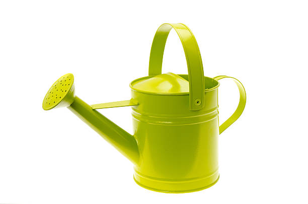 istock Green coloured metal watering can 184357779