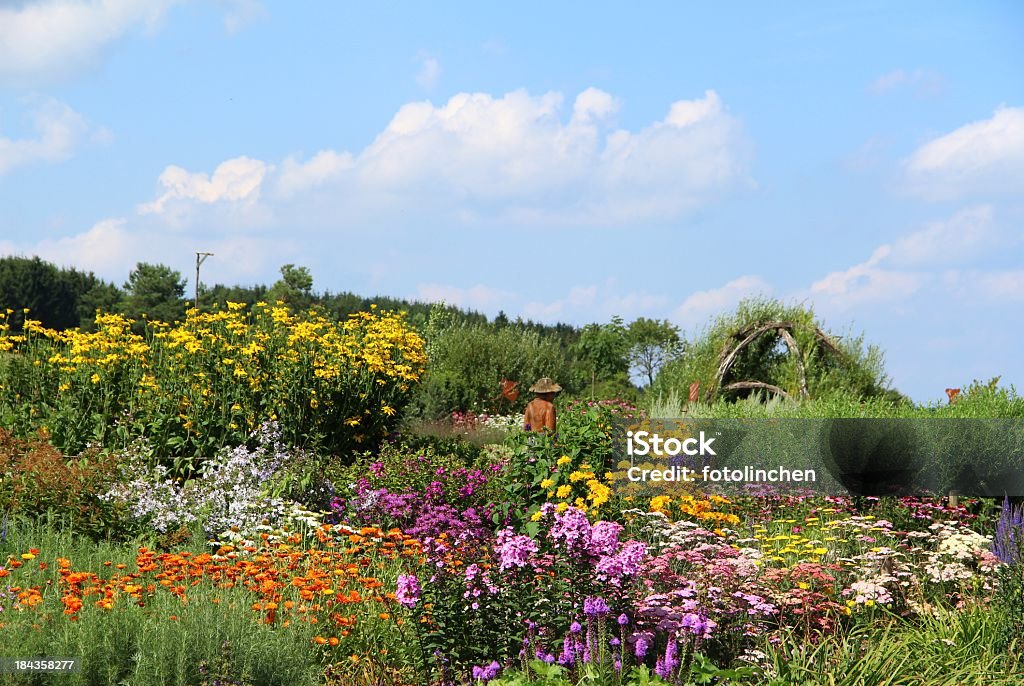 Giardino di erbe e fower - Foto stock royalty-free di Aiuola