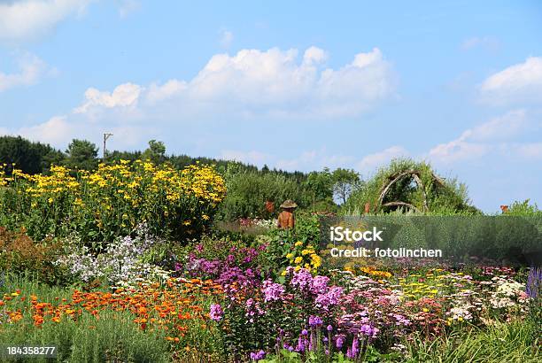 Giardino Di Erbe E Fower - Fotografie stock e altre immagini di Aiuola - Aiuola, Ambientazione esterna, Ambientazione tranquilla