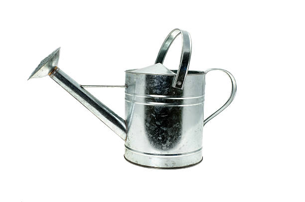 istock Traditional galvanised metal watering can 184358394
