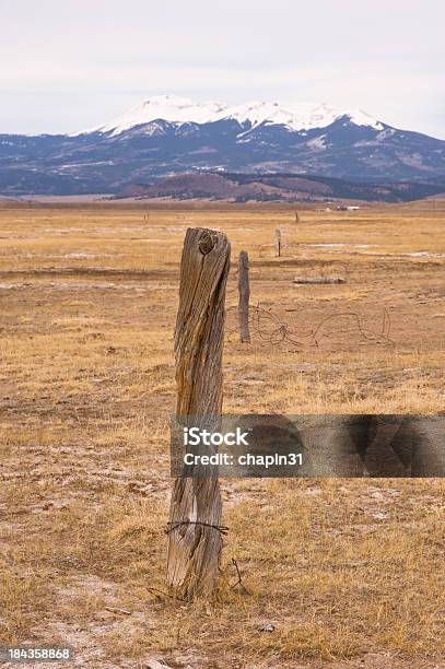 Abandonado Cedar Vedação E Picos De Búfalo - Fotografias de stock e mais imagens de Abandonado - Abandonado, Agricultura, Antiguidade