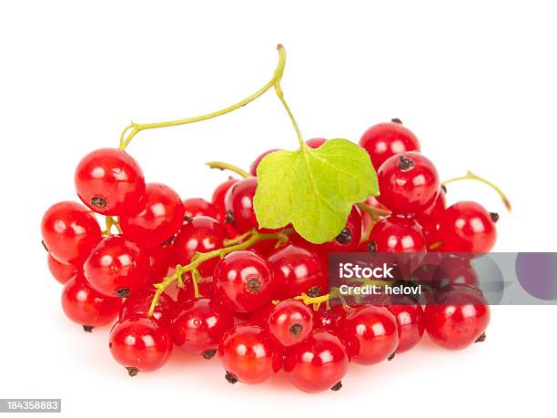 Groselha Vermelha - Fotografias de stock e mais imagens de Alimentação Saudável - Alimentação Saudável, Antioxidante, Caule de planta