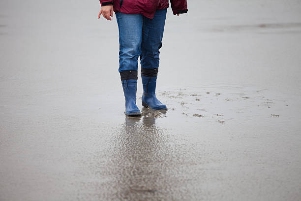 istock Tourist in the wadden sea 184359459