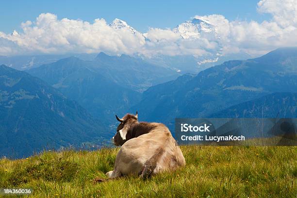 Schlafenrindsleder Stockfoto und mehr Bilder von Alpen - Alpen, Aufnahme von unten, Bedeckter Himmel